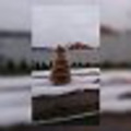 Lagostadecor's avatar
