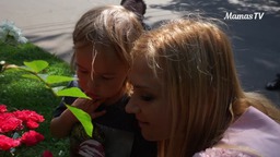 How to Teach Plants for Kids