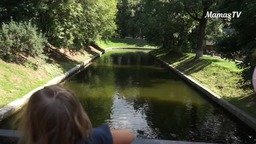 Watching and Taking Care of Animals