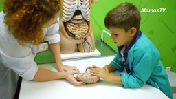 Why To Teach Anatomy To Kids