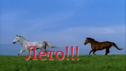 Лето