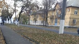 Мия))