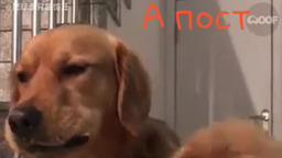 Пост продолжается