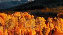 Зима будет большая