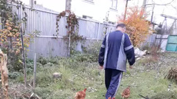 Гуляем, помогаем как можем