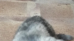 Кася собиратся к доктору, наводит красоту