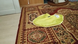 Дайте кошке поиграть