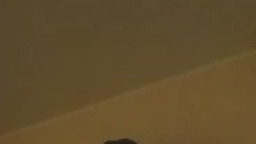 летучий британец 2