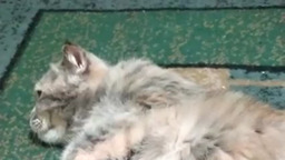 Мама и дочка