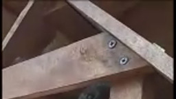 Какая упитанная синичка)