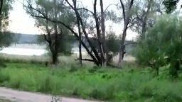 Борьба титанов