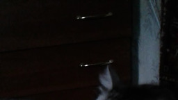 Любовь к брату и нежность