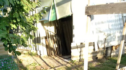 Утренние забавы Тиши с Жулей