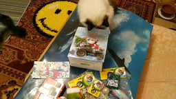 Новогодние подарки