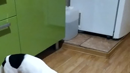 Ноузворк-коврик