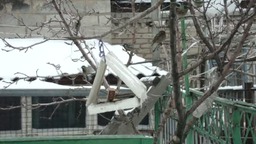 Просто Птички