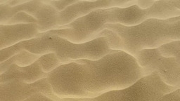 Бархан Сарыкум, ветер в песках